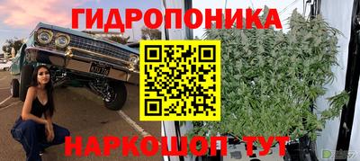 спайс Новодвинск