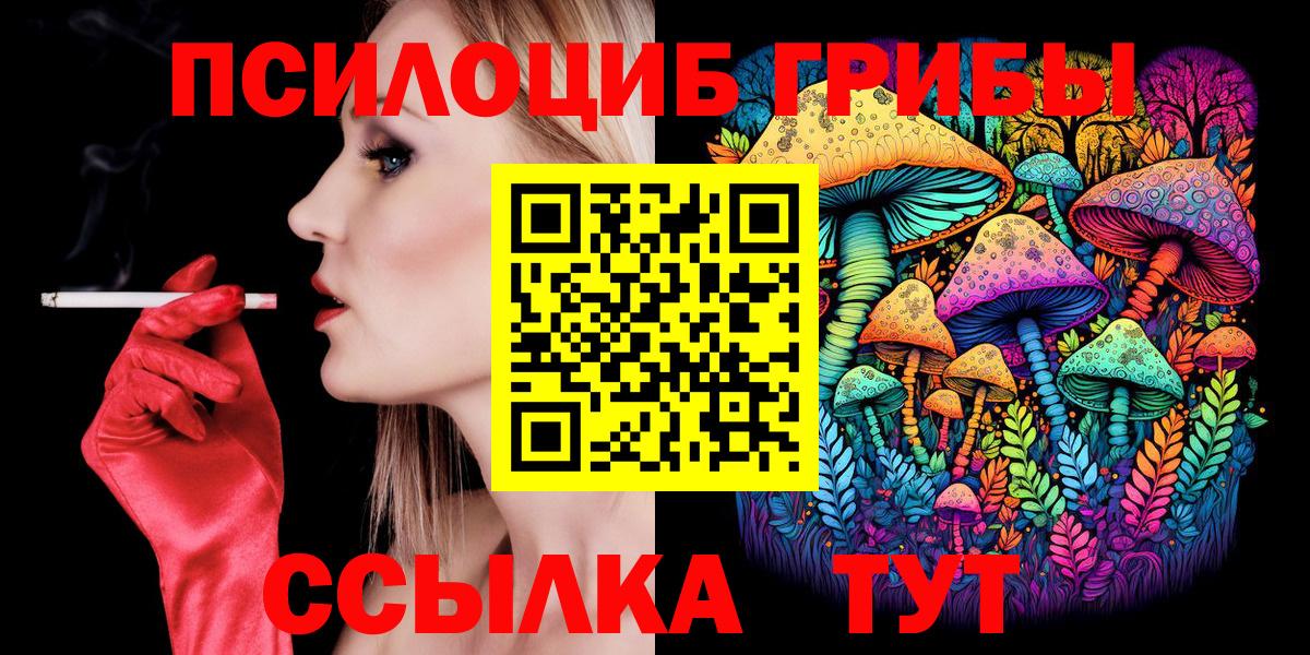 Галлюциногенные грибы Psilocybe  Вход с VPN  Псилоцибиновые грибы мухоморы  где купить наркотик  Тула 